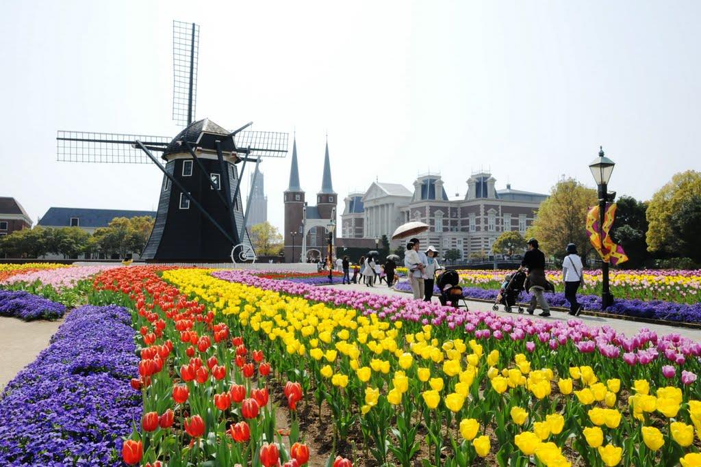Il festival dei tulipani al parco Huis Ten Bosch