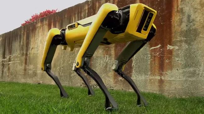 Arriva il cane robot della Boston Dynamics SpotMini
