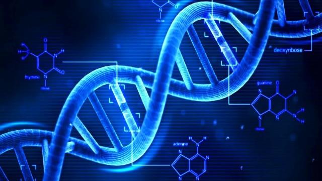 La struttura a doppia elica del DNA