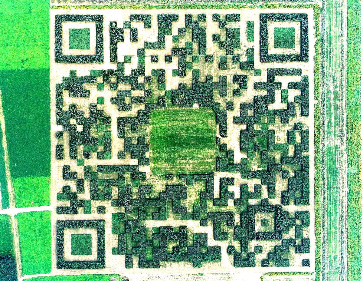 Un'immagine del QR code modificata visto dall'alto