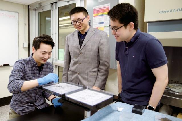 I ricercatori del MIT e la nuova tecnologia di stampa magnetica