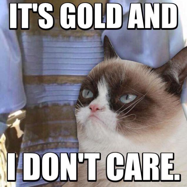 Grumpy Cat: il vestito che ha rotto Internet è dorato