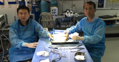 Xiaoping Ren con un collega
