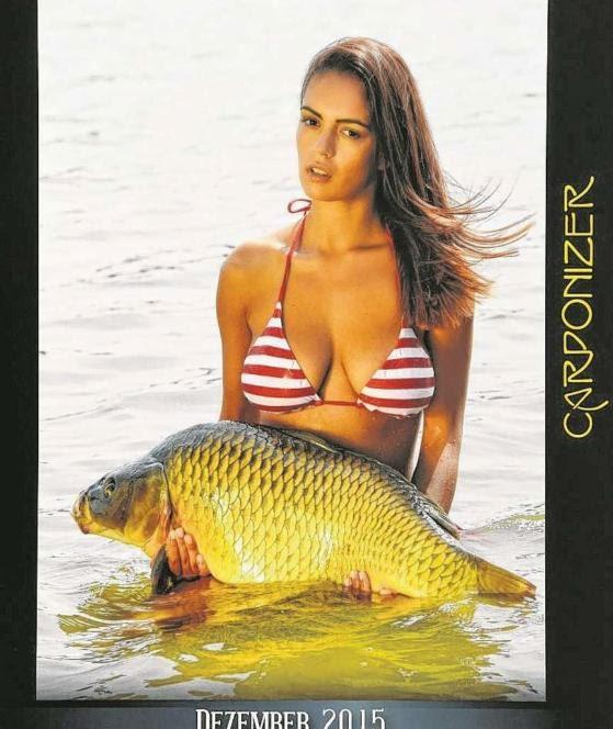 Dicembre sul calendario carponizer 2015