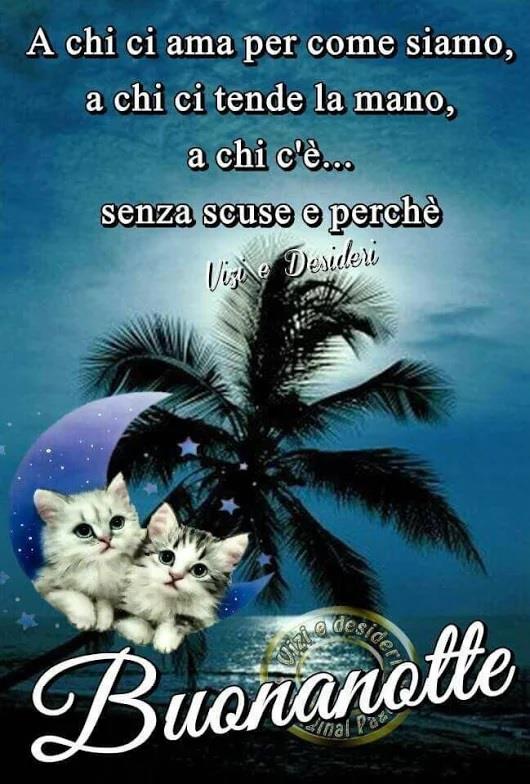 Una composizione con gatti e fiori