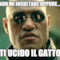 NON MI INSULTARE OPPURE.... TI UCIDO IL GATTO