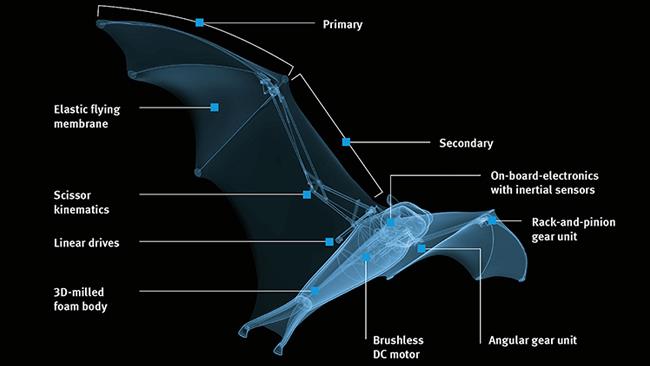 BionicFlyingFox Il pipistrello robot volante