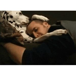 Un cane fa le coccole al padrone - Le GIF più divertenti da scaricare e condividere su Facebook e WhatsApp