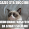 ma cazzo sta succedendo vedo umani farsi foto da sfigati solitari