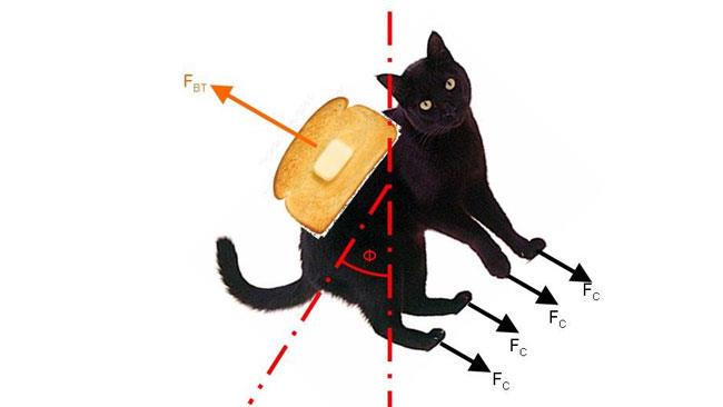 Ig Nobel 2017, i vincitori della scienza più assurda dell'anno La produzione di energia infinita tramite un gatto