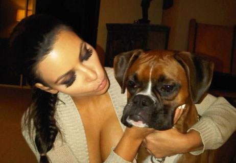 Rocky, il cane della famiglia Kardashian.
