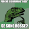 Perchè si chiamano "rose" se sono rosse?