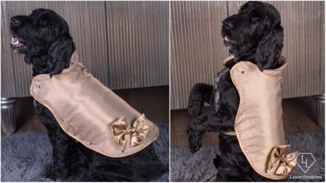 Sembra un cappotto Chanel...