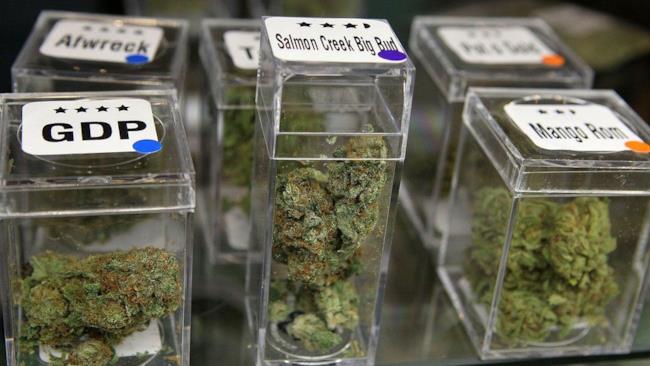 La città della marijuana Alcuni barattoli contenenti marijuana