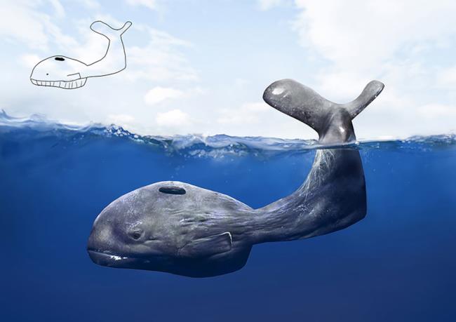 Balena creata con Photoshop e disegno originale