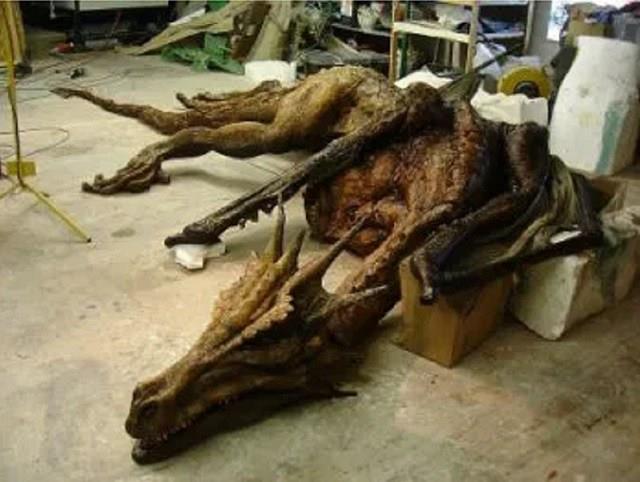 Resti di un finto scheletro di drago ritrovato nel 1996
