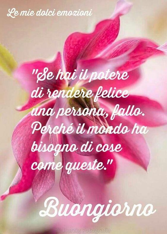 Fiori, le più belle immagini per il buongiorno, buonanotte e buon compleanno