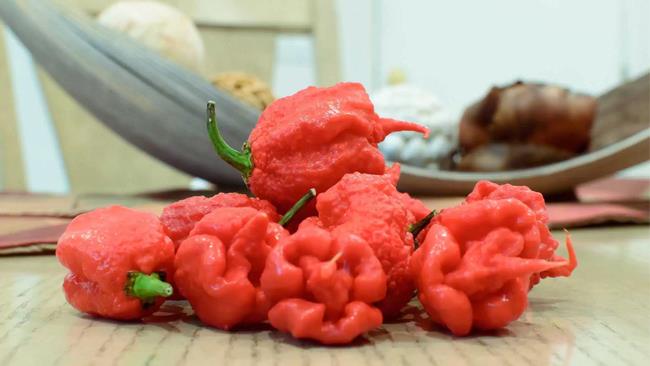 Il Carolina Reaper Il peperoncino piccante