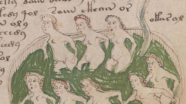 Manoscritto di Voynich Un dettaglio dell'indecifrabile Manoscritto di Voynich.