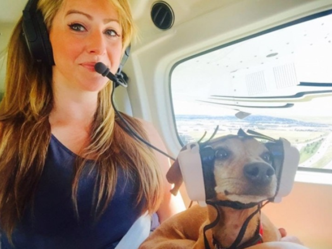 Un cane in elicottero viaggia insieme alla padrona.