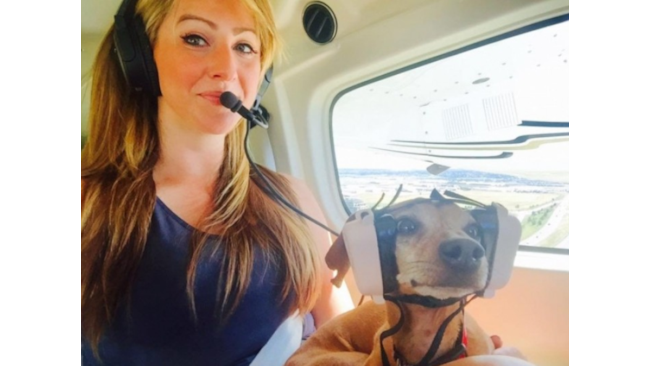 Un cane in elicottero viaggia insieme alla padrona.