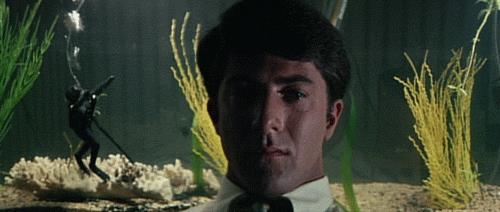GIF il laureato