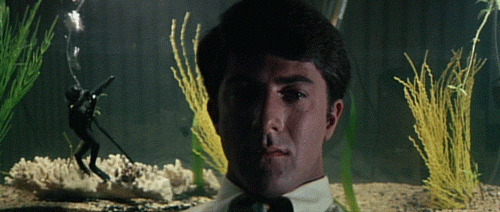 GIF il laureato