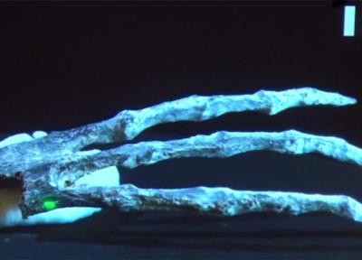 Le dita delle misteriose mummie