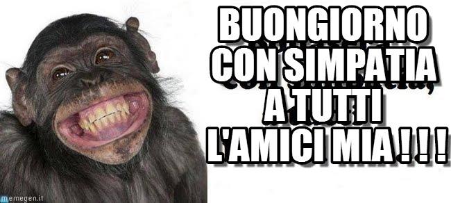 uno scimpanzé che ride