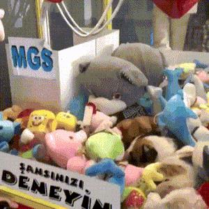 Un gatto dentro una macchina dove pescare peluche - Le GIF più divertenti da scaricare e condividere