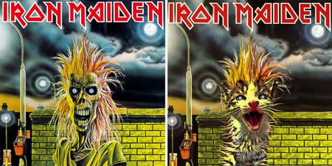 Un gatto come gli Iron Maiden