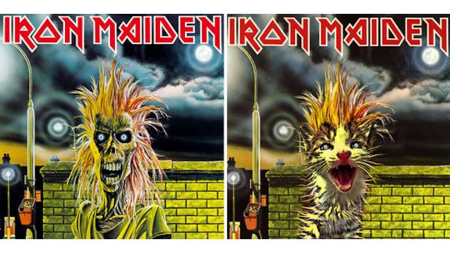 Un gatto come gli Iron Maiden