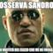 Osserva Sandro La vastità del cazzo che me ne frega. .