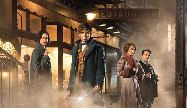 Il cast de Gli Animali Fantastici Dove Trovarli I personaggi principali de Gli Animali Fantastici Dove Trovarli