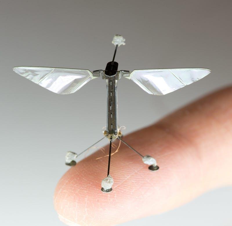 Prototipo di RoboApe progettato a Harvard