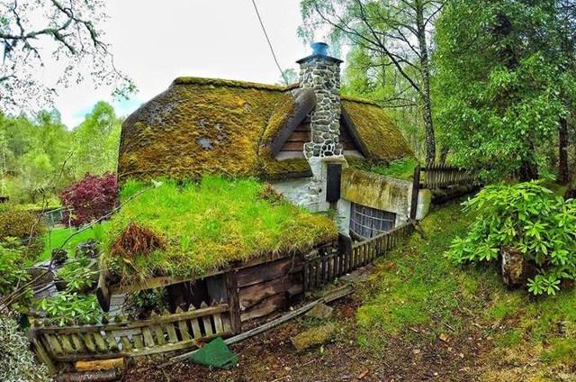 Il retro della casa e il giardino