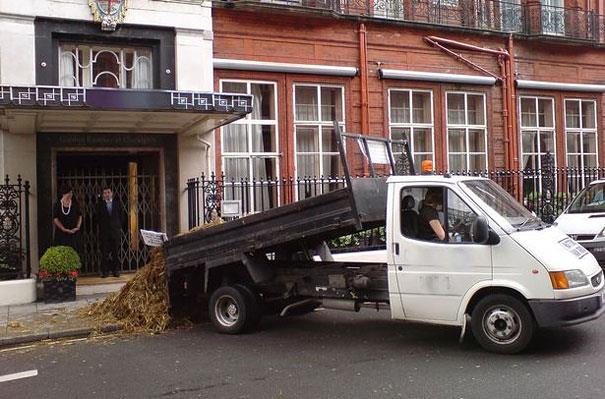 Shitexpress è il servizio per spedire cacca a nemici in tutto il mondo Camion che scarica un carico di letame