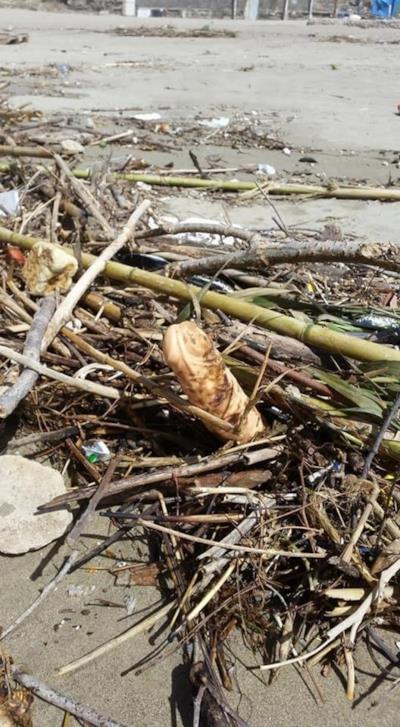 Un pene di plastica in spiaggia