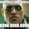 SONO BELLO COME RAULLO BOVA BOVA BOVA