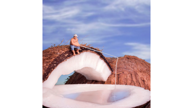 Cocco bello