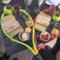 Un pasto servito su delle racchette da tennis