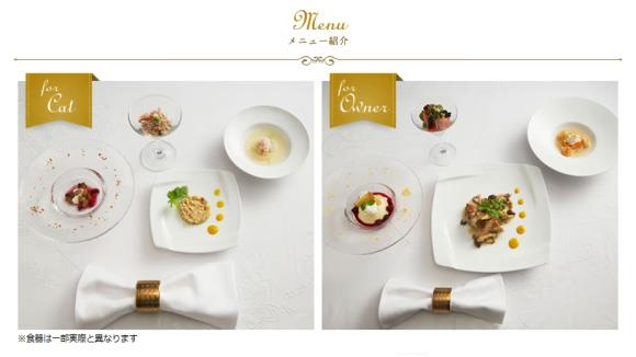 I piatti offerti dal servizio di catering per gatti e i loro proprietari