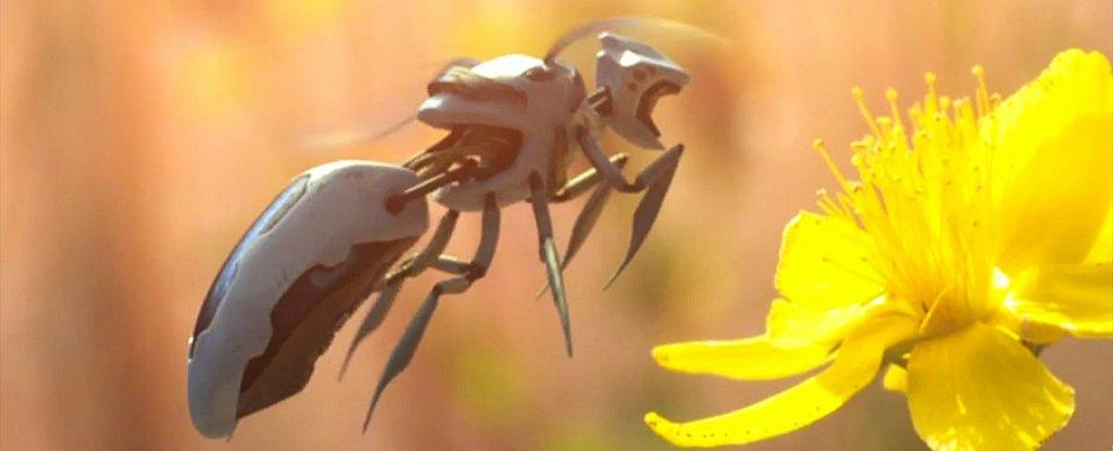 Api robotiche per impollinare