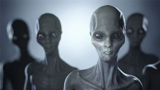 La ricostruzione di come potrebbero apparire gli alieni Cinque grigiastri alieni in posa per noi.
