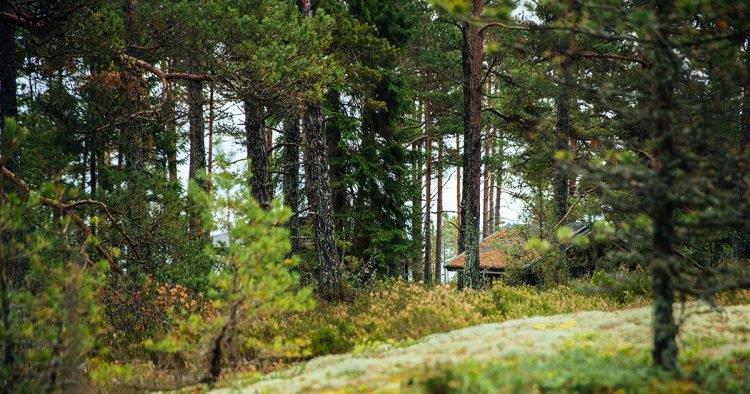 L'isola delle donne è in Finlandia