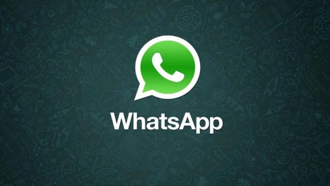 Il logo di Whatsapp L'immagine dell'applicazione di messaggistica