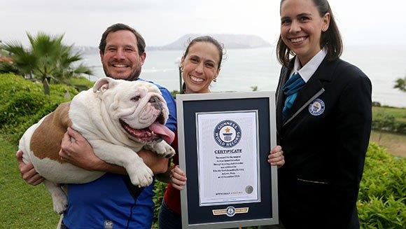 Otto Guinness World Records Day 2015