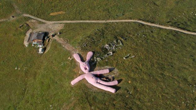 Il coniglio rosa gigante visto da Google