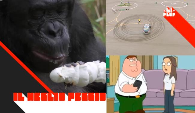 I video più visti su FlopTV fino al 27 aprile I video più visti su FlopTV della settimana