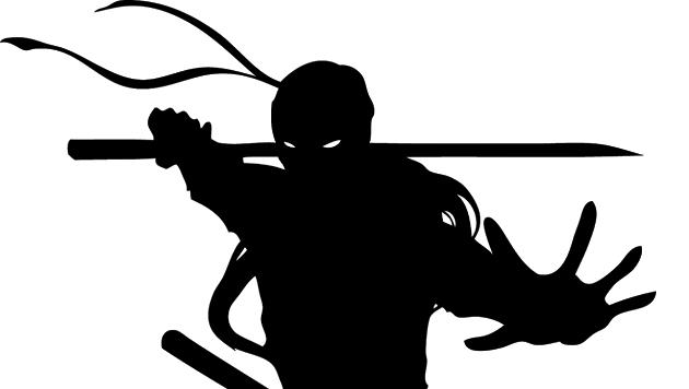 Come diventare Ninja di professione per scopi turistici La silhouette di un guerriero ninja